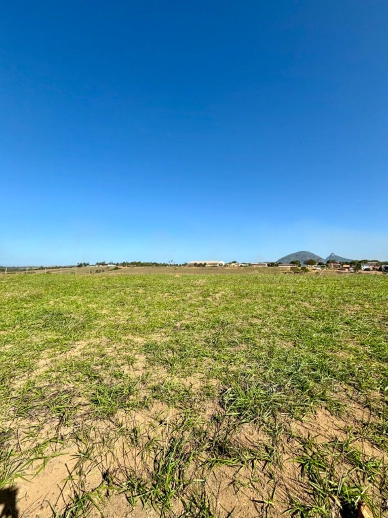 Área com topografia plana próximo asfalto Área com topografia plana próximo asfalto