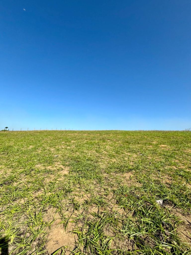 Área com topografia plana próximo asfalto Área com topografia plana próximo asfalto