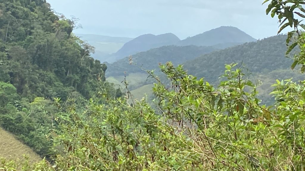 Oportunidade de adquirir sua área rural Oportunidade de adquirir sua área rural
