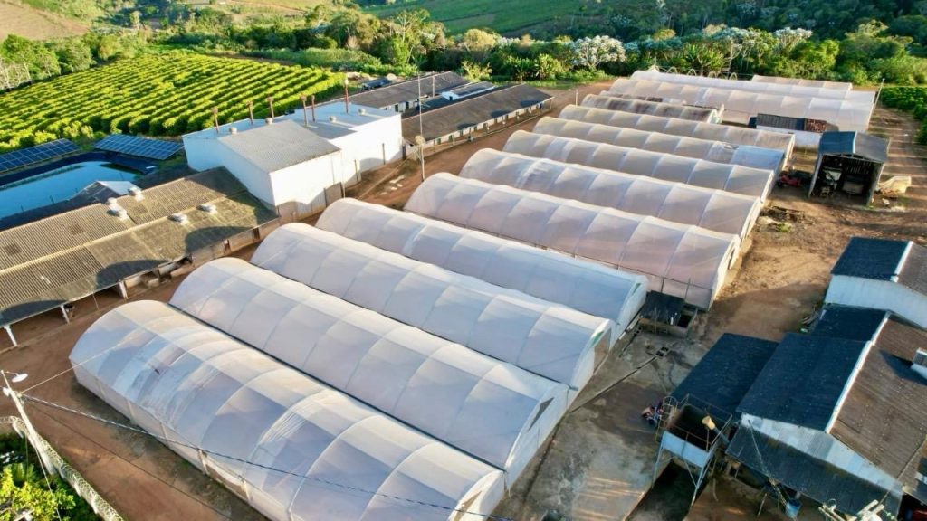 Linda fazenda com plantação de café arábica Linda fazenda com plantação de café arábica