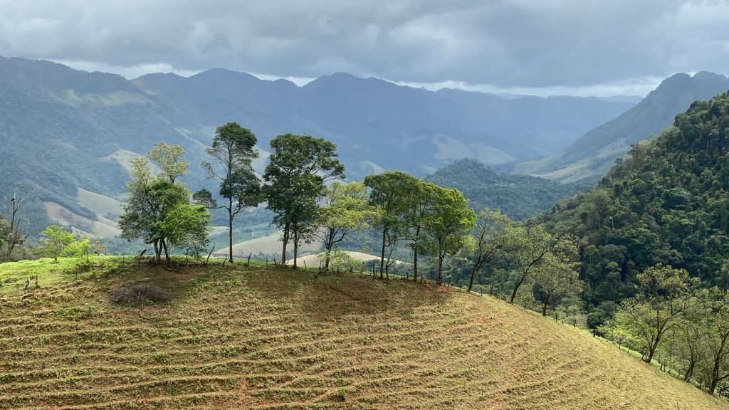 Oportunidade de adquirir sua área rural Oportunidade de adquirir sua área rural