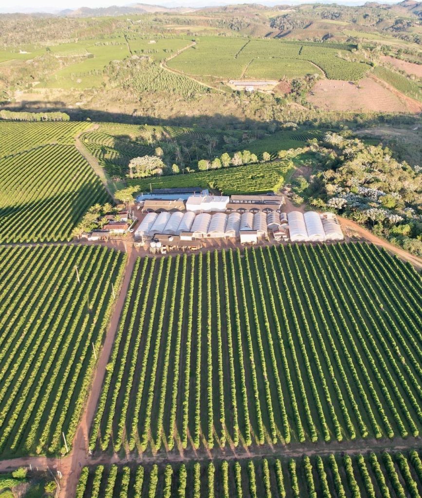 Linda fazenda com plantação de café arábica Linda fazenda com plantação de café arábica