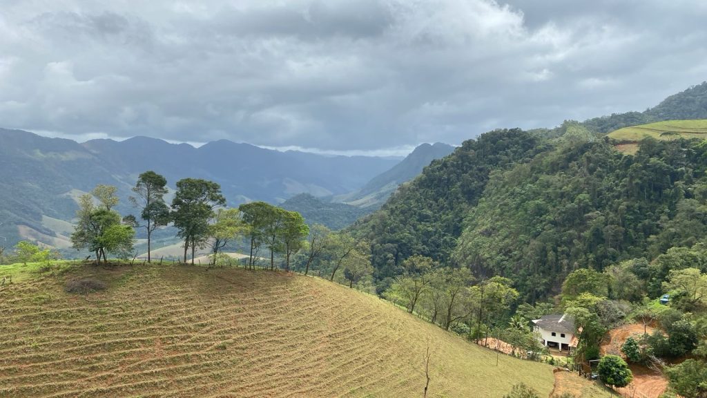 Oportunidade de adquirir sua área rural Oportunidade de adquirir sua área rural