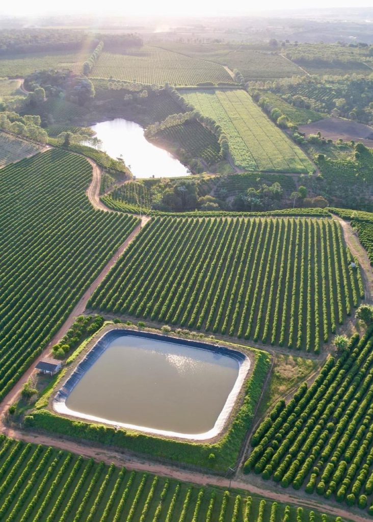 Linda fazenda com plantação de café arábica Linda fazenda com plantação de café arábica