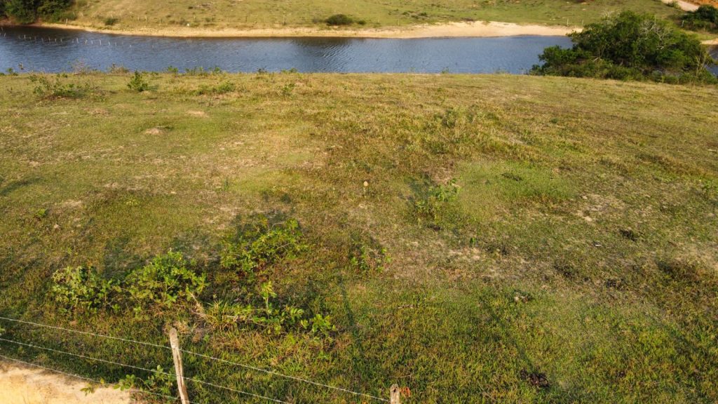 Terreno com 5 mil metros quadrados com acesso a lagoa Terreno com 5 mil metros quadrados com acesso a lagoa