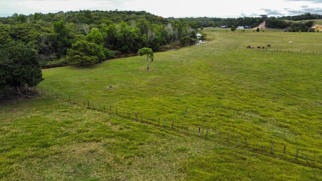 Excelente área com 20 mil m2 plana e água Excelente área com 20 mil m2 plana e água
