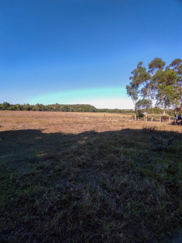 Excelente área com 20 mil m2 plana e água Excelente área com 20 mil m2 plana e água