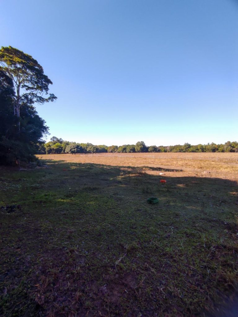 Excelente área com 20 mil m2 plana e água Excelente área com 20 mil m2 plana e água