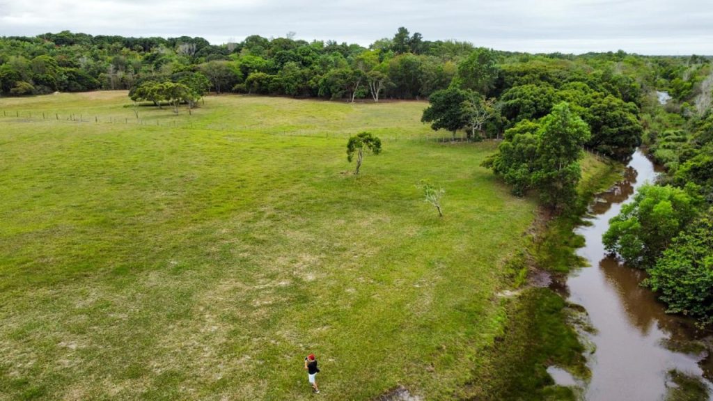 Excelente área com 20 mil m2 plana e água Excelente área com 20 mil m2 plana e água
