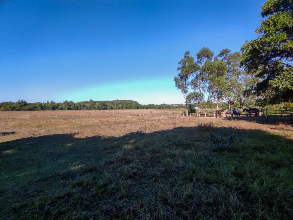 Excelente área com 20 mil m2 plana e água Excelente área com 20 mil m2 plana e água