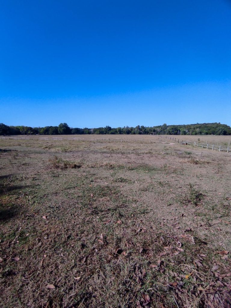 Excelente área com 20 mil m2 plana e água Excelente área com 20 mil m2 plana e água