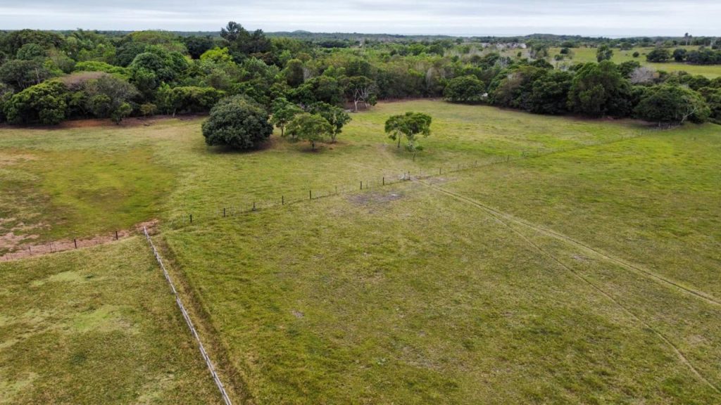Excelente área com 20 mil m2 plana e água Excelente área com 20 mil m2 plana e água