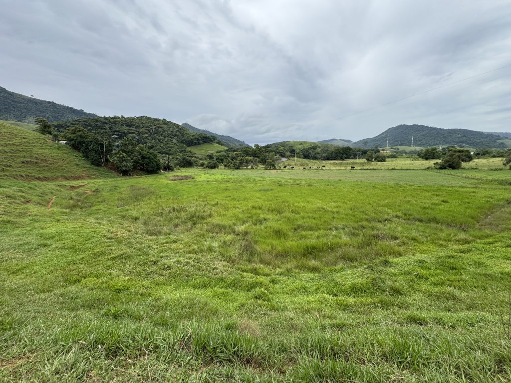 Linda área com 116.800 mil M2 bem localizado e muito pasto Linda área com 116.800 mil M2 bem localizado e muito pasto