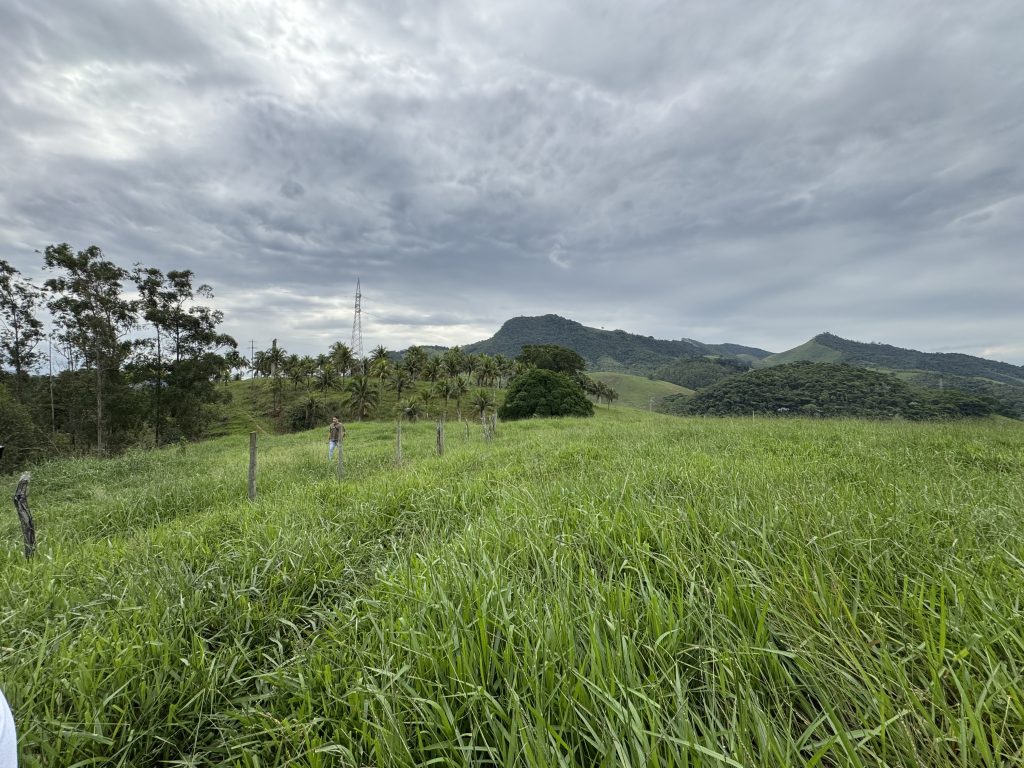 Linda área com 116.800 mil M2 bem localizado e muito pasto Linda área com 116.800 mil M2 bem localizado e muito pasto