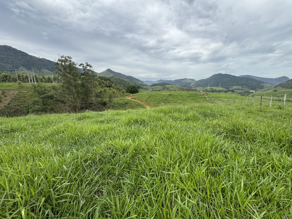 Linda área com 116.800 mil M2 bem localizado e muito pasto Linda área com 116.800 mil M2 bem localizado e muito pasto