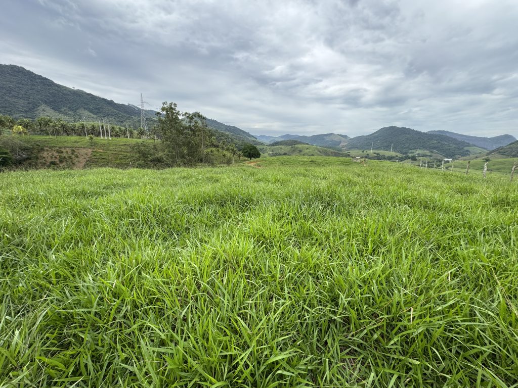 Linda área com 116.800 mil M2 bem localizado e muito pasto Linda área com 116.800 mil M2 bem localizado e muito pasto