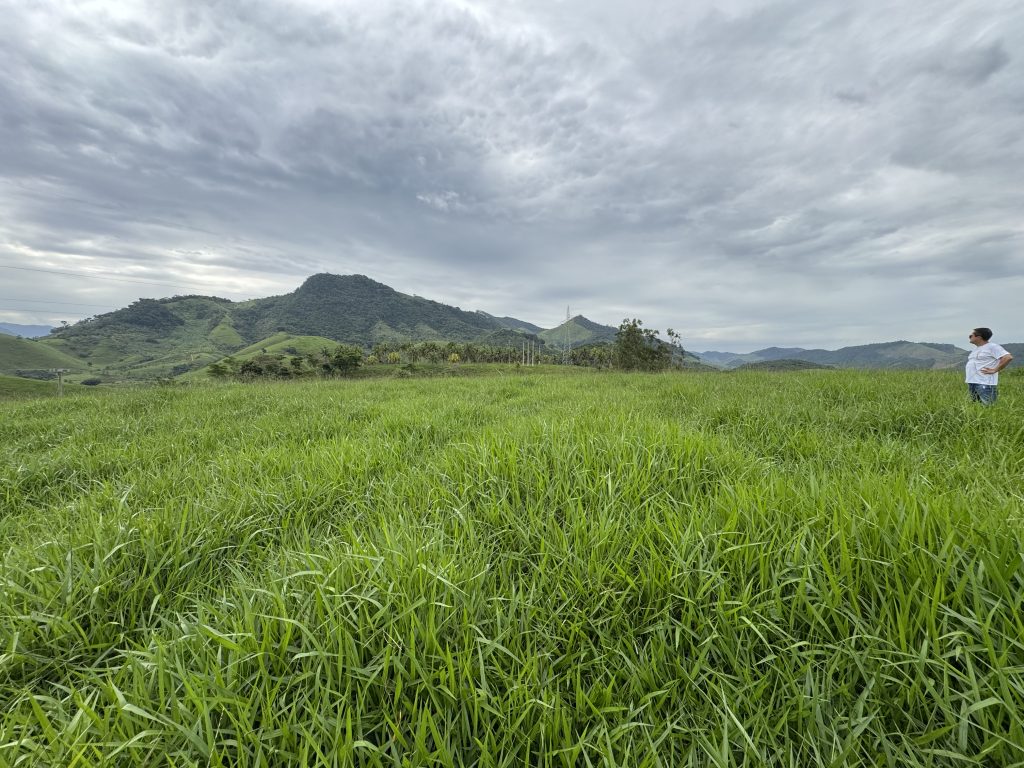 Linda área com 116.800 mil M2 bem localizado e muito pasto Linda área com 116.800 mil M2 bem localizado e muito pasto