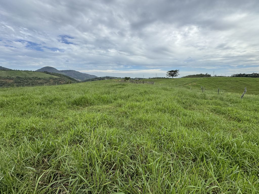 Linda área com 116.800 mil M2 bem localizado e muito pasto Linda área com 116.800 mil M2 bem localizado e muito pasto