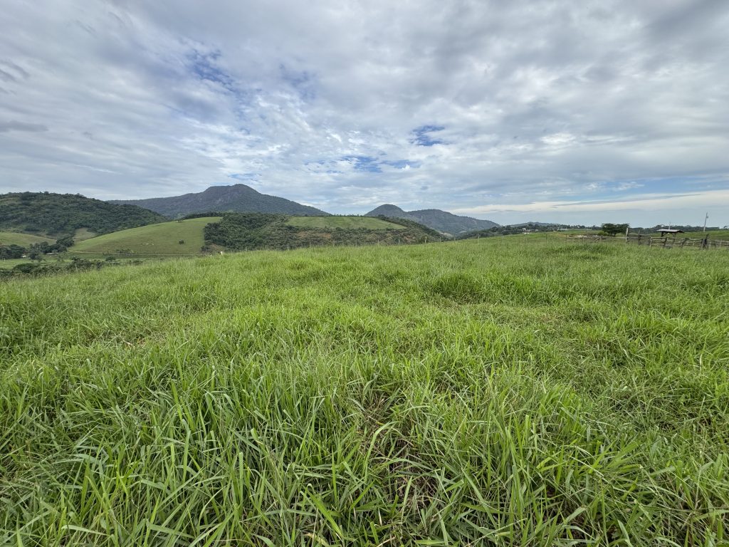 Linda área com 116.800 mil M2 bem localizado e muito pasto Linda área com 116.800 mil M2 bem localizado e muito pasto