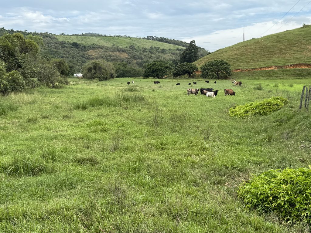 Linda área com 116.800 mil M2 bem localizado e muito pasto Linda área com 116.800 mil M2 bem localizado e muito pasto